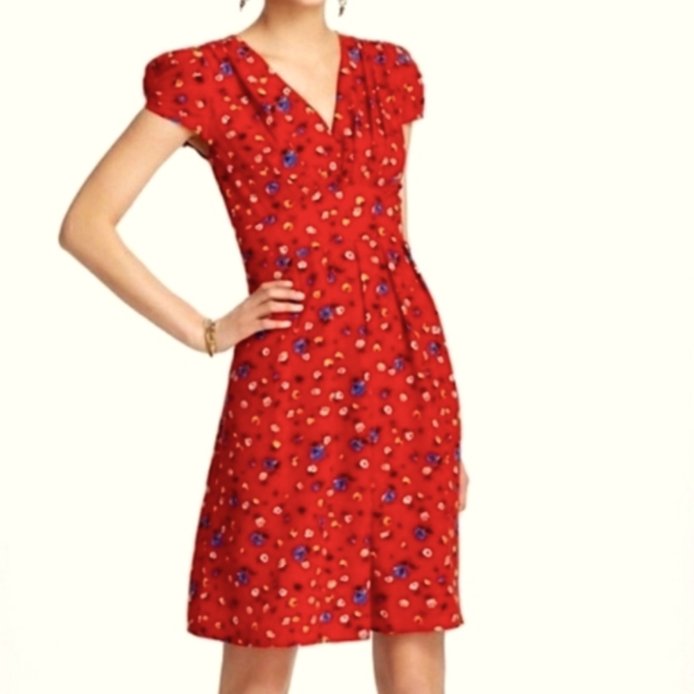 Anthropologie Red Floral Hi Karen Dress
